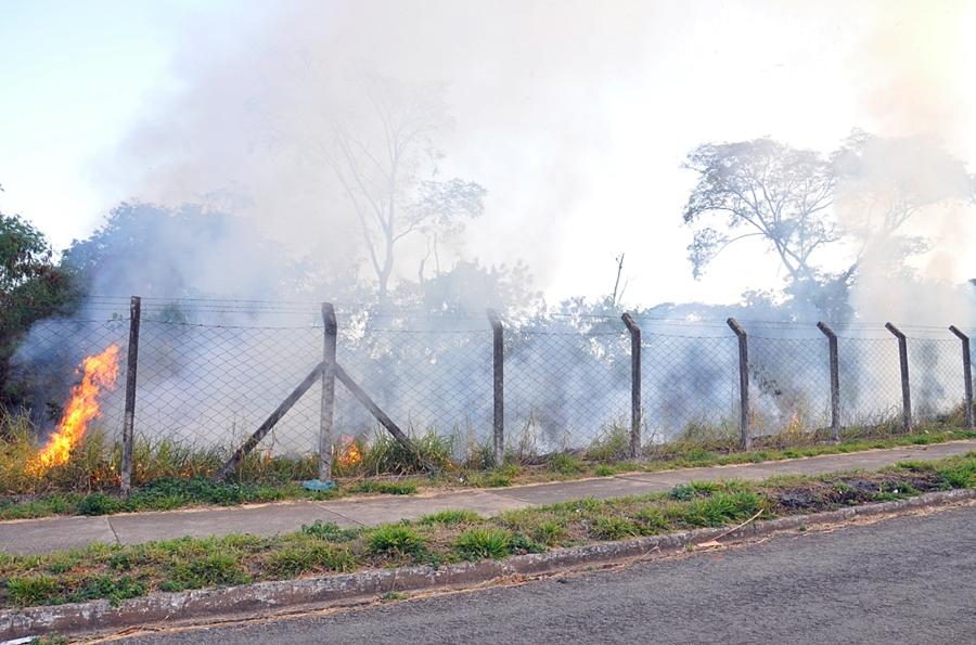 Incêndio criminoso destrói parte do Bosque Colina Azul em Aparecida de Goiânia
