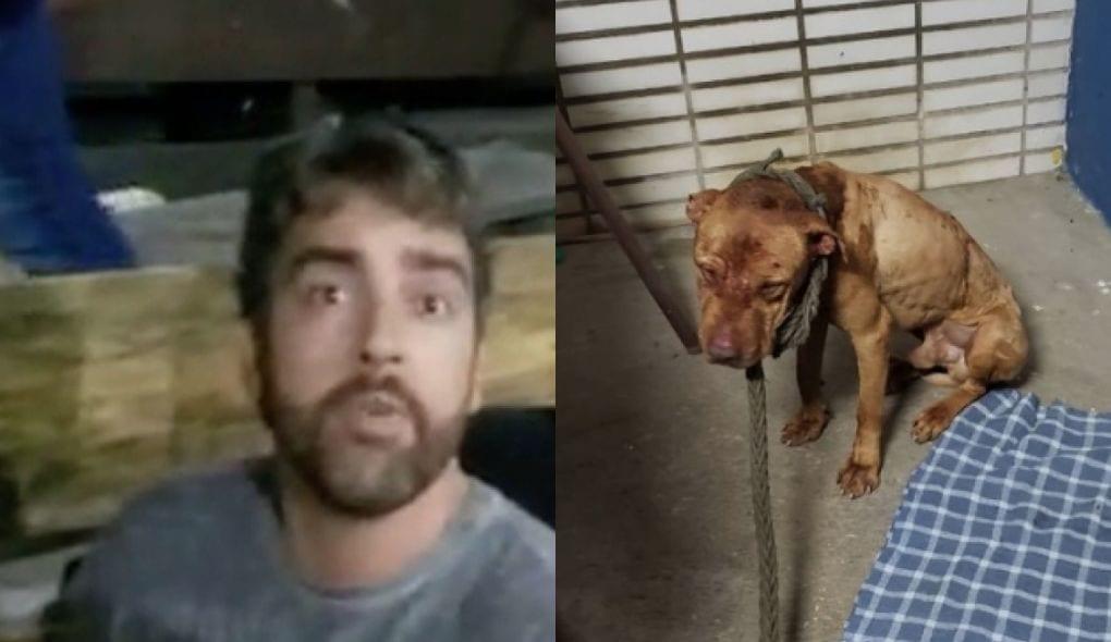 Médico Goiano envolvido em rinha de Cães pode voltar para a cadeia nos próximos dias