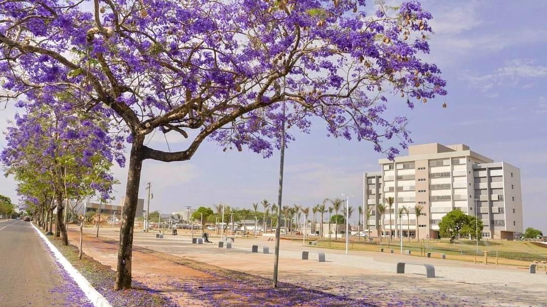 Aparecida ultrapassa os 2.000 casos confirmados de contaminados pelo COVID-19