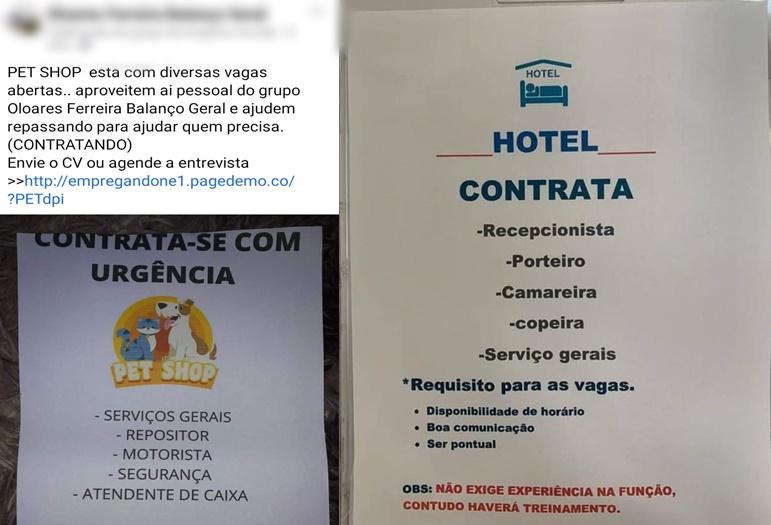 Golpe da vaga de emprego faz novas vítimas em Goiás