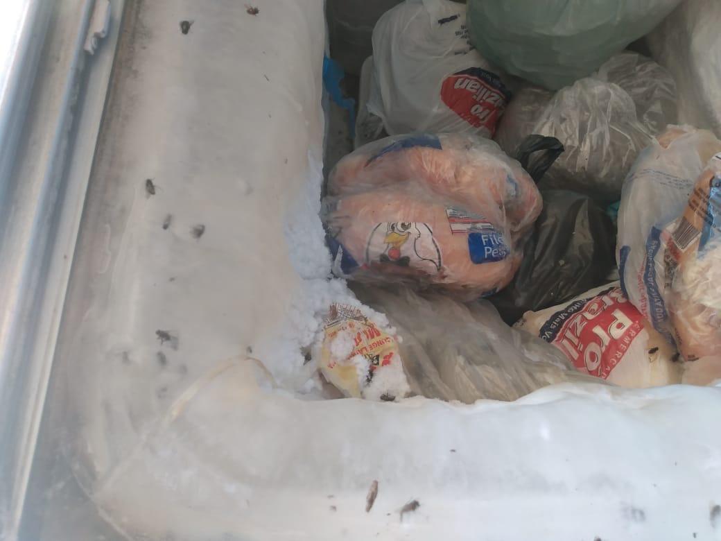 Moscas congeladas em alimentos, polícia fecha fábrica clandestina em Goiânia