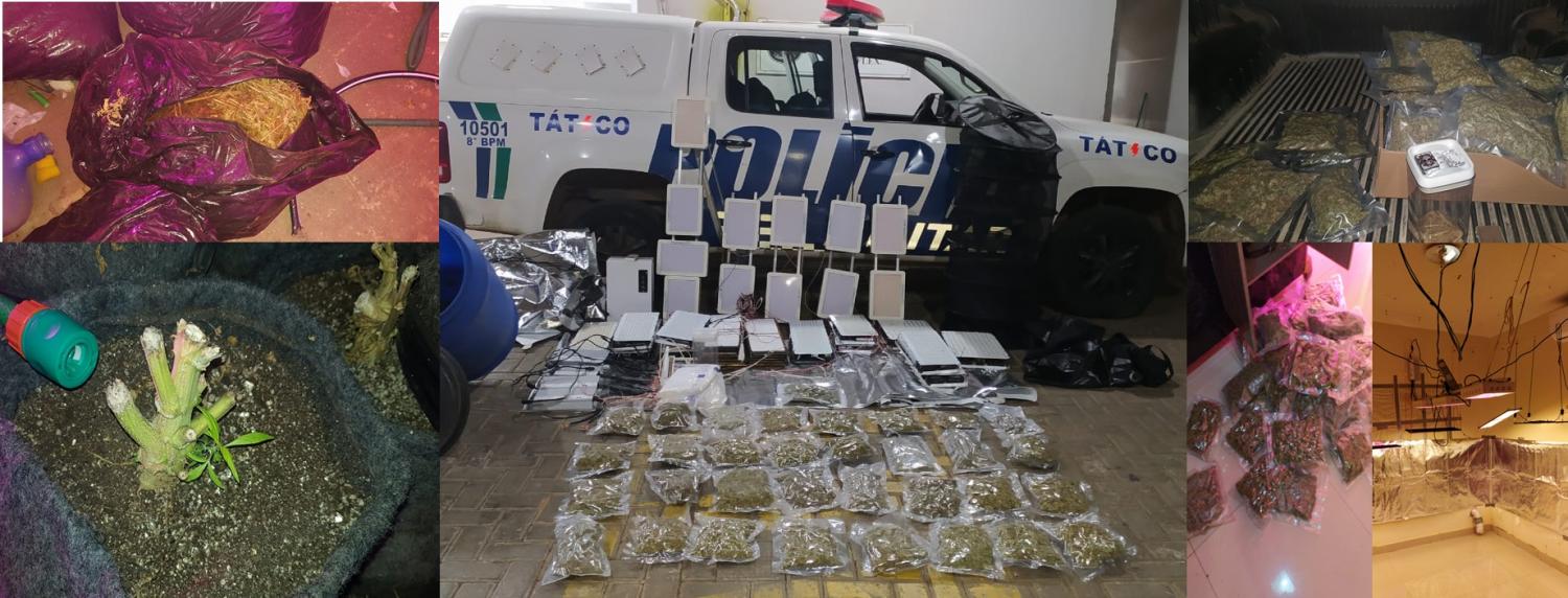 Maconha super potente de origem Norte Americana, é apreendida em Goiânia  