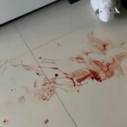 MISTÉRIO: O que aconteceu com a Deputada Joice Hasselmann?