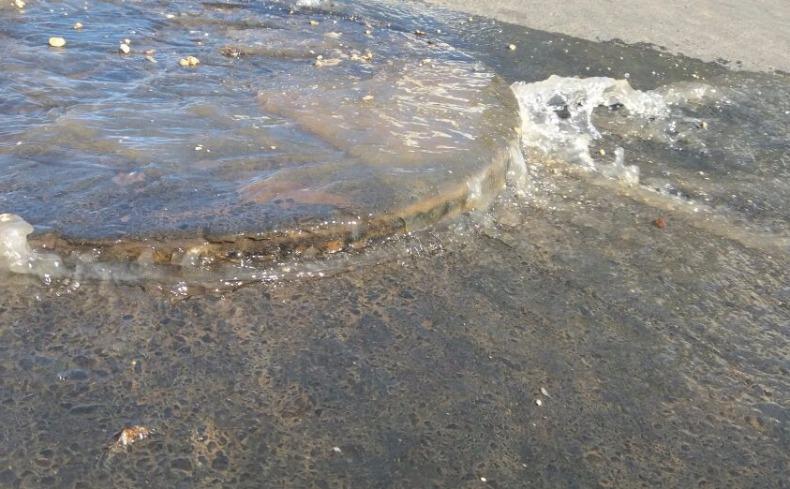 Feira Livre do Colina Azul pode acabar por conta do constante vazamento de esgoto