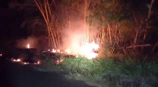 Trabalhador rural preso alega que patrão o contratou para colocar fogo em reserva ambiental