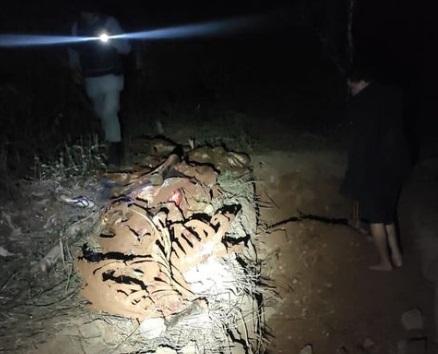 Polícia localiza carne de cavalo que seria vendida em comércios de Aparecida