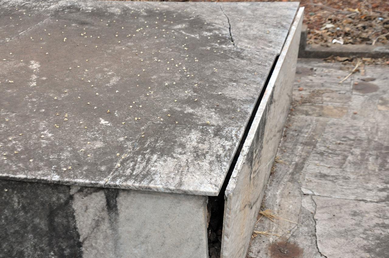 Vândalos tentam violar túmulos das vítimas do Césio 137, em Goiânia