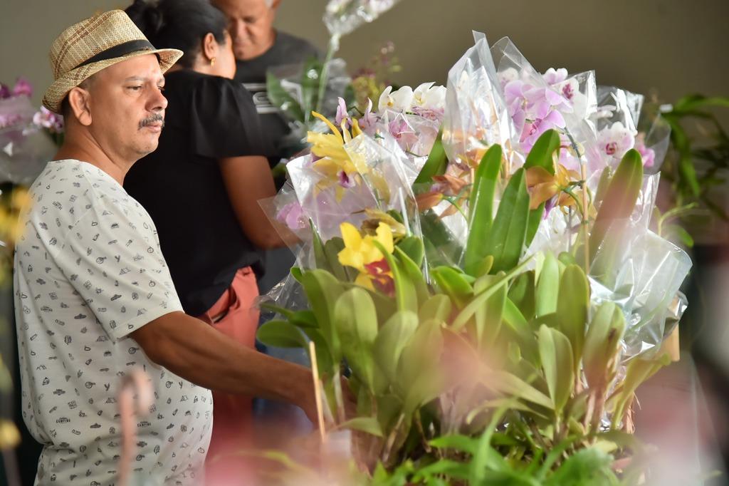 Aparecida de Goiânia realiza exposição de orquídeas e rosas do deserto neste fim de semana