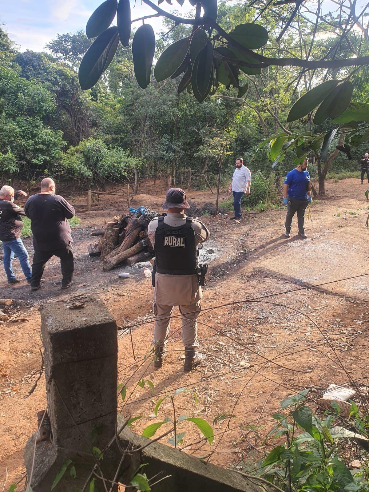 Abatedouro clandestino de cavalos é desmantelado em Anápolis