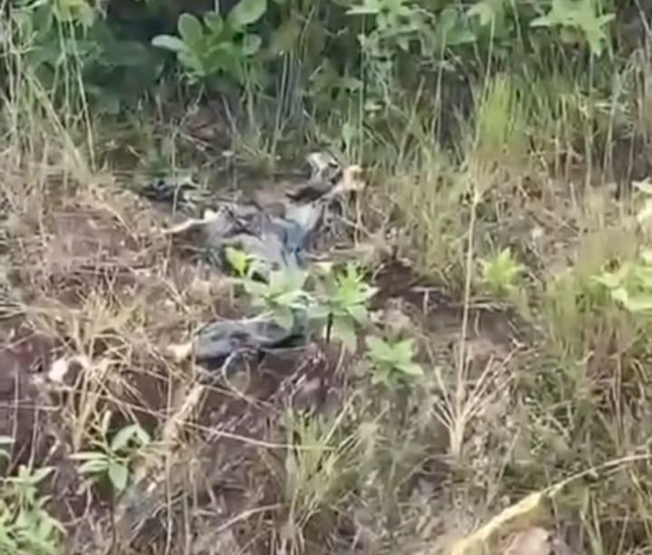 Ossada humana é encontrada na Serra Das Areias, em Aparecida