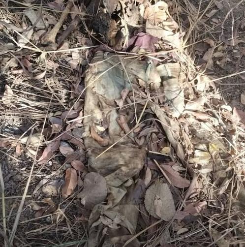 Morador encontra corpo em decomposição em área ambiental de Aparecida