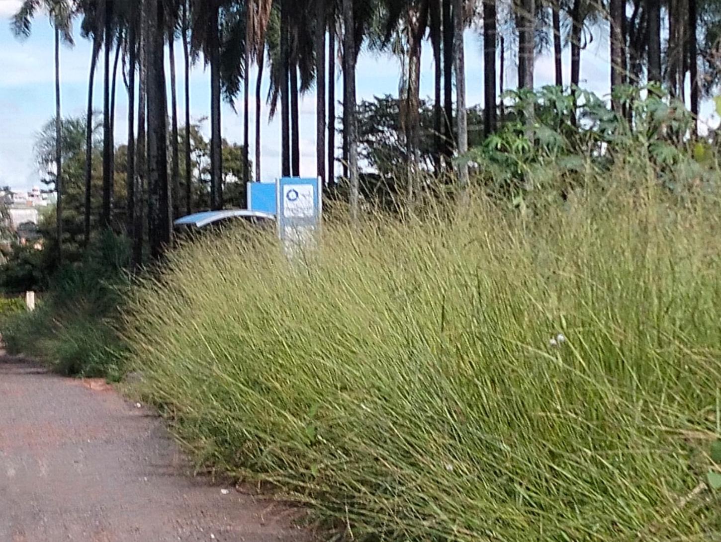 Abandono no Residencial Talismã: Moradores clamam por socorro