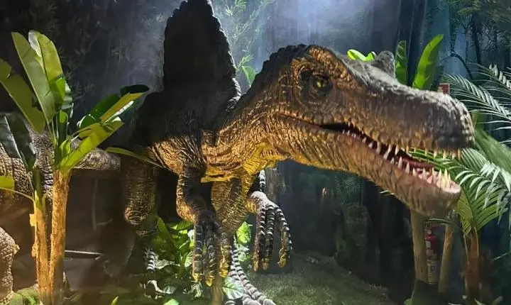 Dos dinossauros à inteligência artificial: conheça um roteiro completo de férias em Aparecida de Goiânia